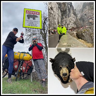 Week 8 - If you go down to the woods today…