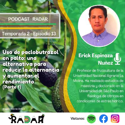 Episodio 13: Paclobutrazol en palto: Una alternativa para reducir la alternancia y aumentar el rendimiento (parte 1)