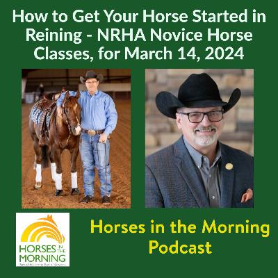 How to Get Your Horse Started in Reining - NRHA Novice Horse Classes, for March 14, 2024 - HORSES IN THE MORNING