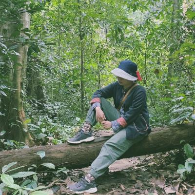 14# Người tìm Vàng trong Rừng 14# Người tìm Vàng trong Rừng