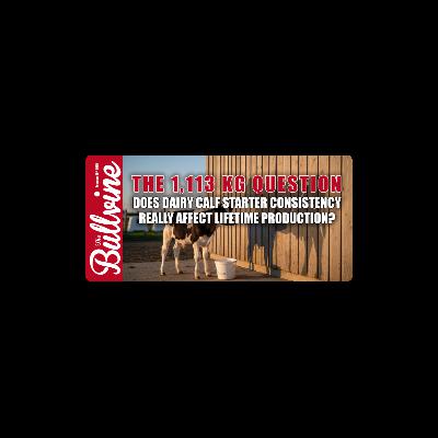 E494 The 1,113 kg Question: Does Dairy Calf Starter Consistency Really Affect Lifetime Production?