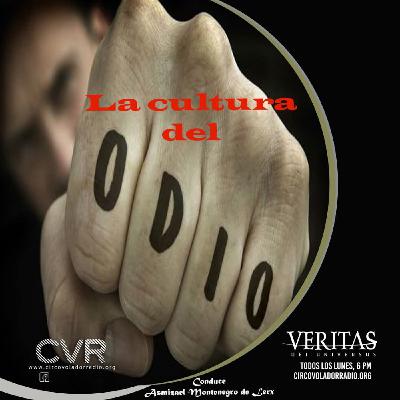 VERITAS DEI UNIVERSUS_20250217-CRIMENES DE ODIO. VERITAS DEI UNIVERSUS_20250217-CRIMENES DE ODIO.