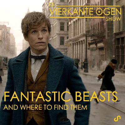 Fantastic Beasts and Where to Find Them // Zo is het alleen in Amerika