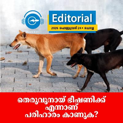 തെരുവുനായ് ഭീഷണിക്ക് എന്നാണ് പരിഹാരം കാണുക?