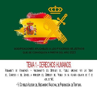 TEMA I.DERECHOS HUMANOS.- V. Consejo Asesor del Mecanismo Nacional de Prevención de Tortura.
