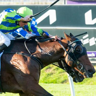 Punter's Preamble - 2025 Railway Stakes Day