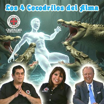 Los cuatro cocodrilos del alma - Cruzadas Matrimoniales