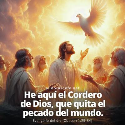 Evangelio del Domingo 18 de Enero. Juan 1,29-34. Evangelio del Domingo 18 de Enero. Juan 1,29-34.