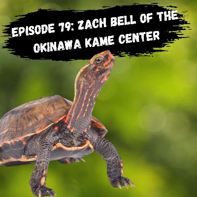 Episode 79: Zach Bell