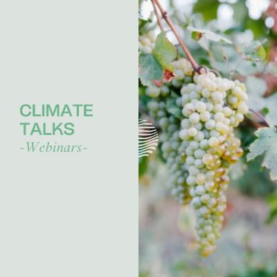 Water Management in Vineyards - Research Edition