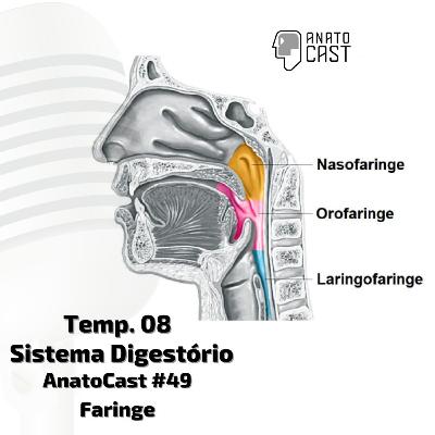 AnatoCast #49 - Faringe AnatoCast #49 - Faringe
