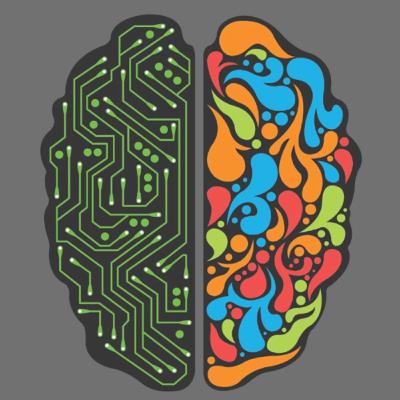 ¿Cómo Funciona el Cerebro Humano?