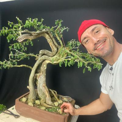 Escolhendo os Materiais para de Fazer Bonsai