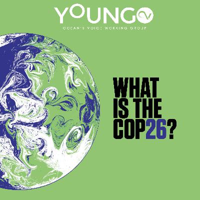 COP26: informative capsule