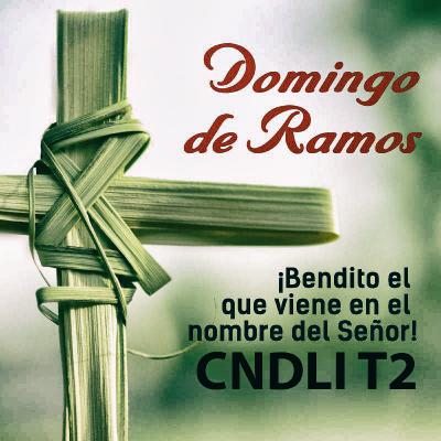 CNDLI T2 - P25 - DOMINGO DE RAMOS