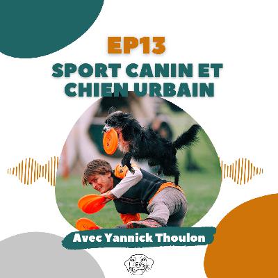#REDIFF - Yannick Thoulon (Canissimo) : Sport canin et chien citadin
