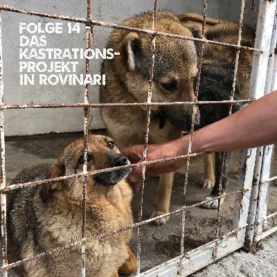 Folge 14: Das Kastrationsprojekt in Rovinari
