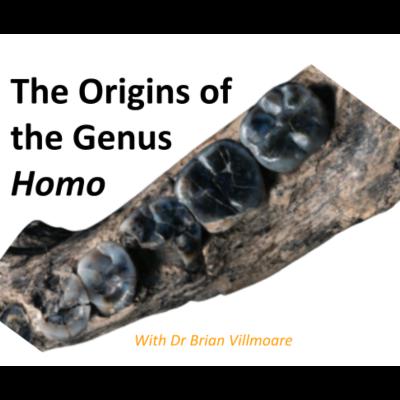 Origins of the Genus Homo – Brian Villmoare