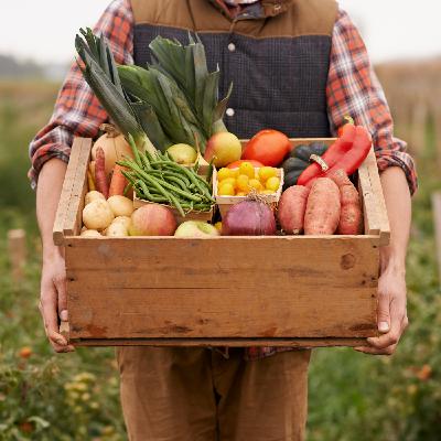 Organic food for kids sabotaged by US Government? Organic food for kids sabotaged by US Government?