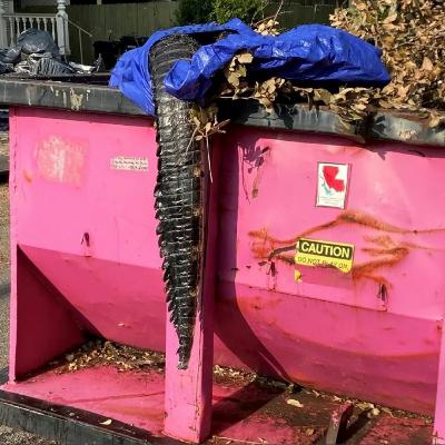 Episode 50 - Here Comes the Story of the Hurricane Episode 50 - Here Comes the Story of the Hurricane