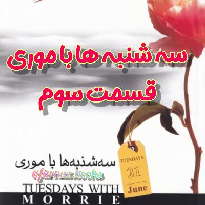 اپیزود بیست‌ویکم. سه شنبه ها با موری، قسمت سوم
