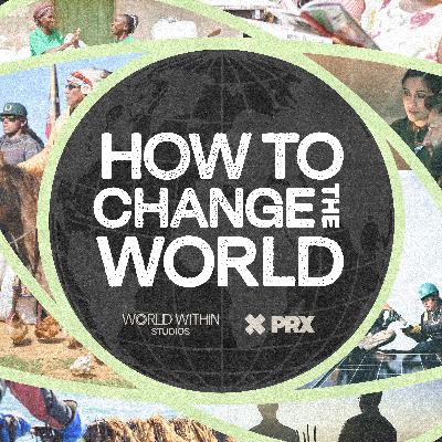 Introducing: The How to Change the World Podcast