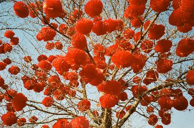 Kodak ColorPlus in China