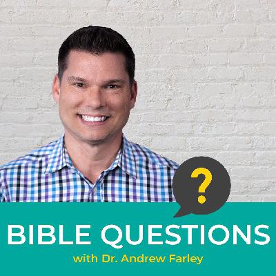 Might animals (pets) go to Heaven?