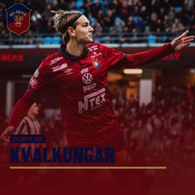 305. Kvalkungar 305. Kvalkungar