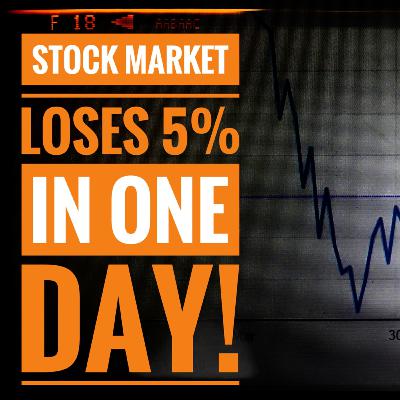 Stock Market Loses 5% in one day