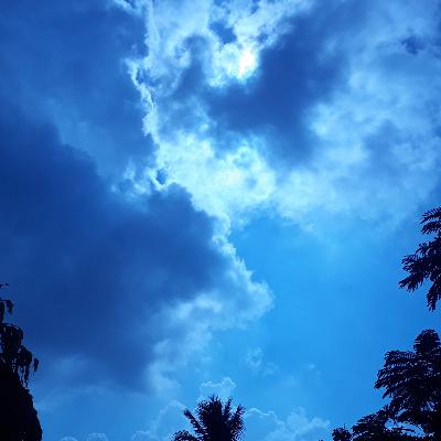 Catch a Glimpse of the Sun