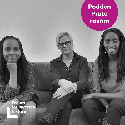 Rasistiskt hat på nätet