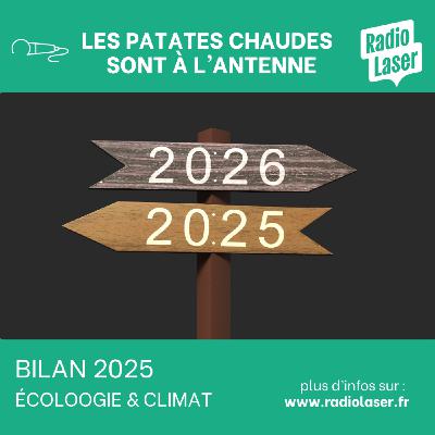 2025 : le bilan des Patates Chaudes