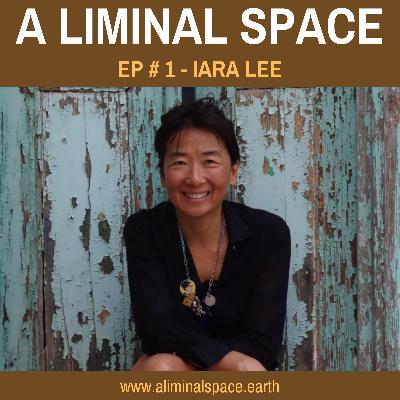 EP #1 - Activist filmmaking as a tool for social and political change (Iara Lee)