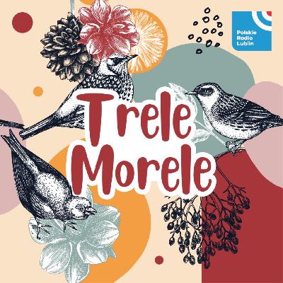 Trele morele - o dokarmianiu ptaków