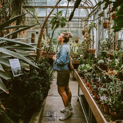 #162 Q&A | What I Eat in a Day - Vegan & Practical