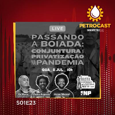 Passando a boiada: conjuntura e privatização na pandemia