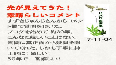 光が見えてきた！（3）「素晴らしいコメント」
