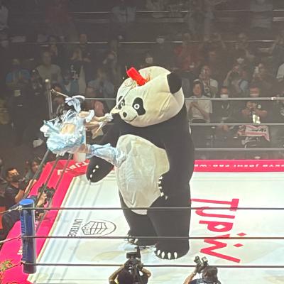 マイコの東京女子プロレス両国国技館2026/3/29行きました