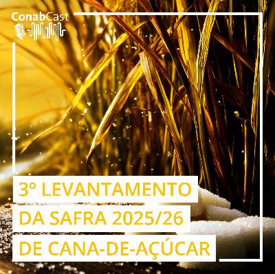 Clima adverso impacta produção de cana estimada pela Conab em 666,4 milhões de toneladas na safra 2025/26