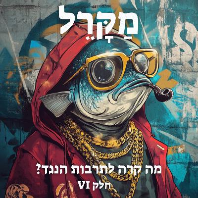 מה קרה לתרבות הנגד? פרק 6