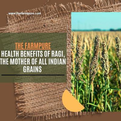 Ragi ( Millet ), Mother of all grain