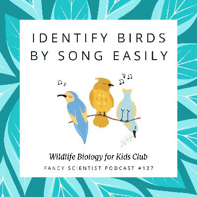 Identify Birds by Song EASILY! | Wildlife Biology for Kids Club