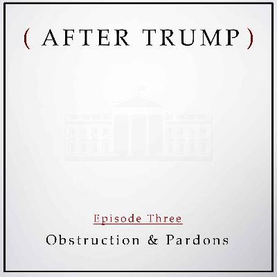 Episode 3: Obstruction & Pardons