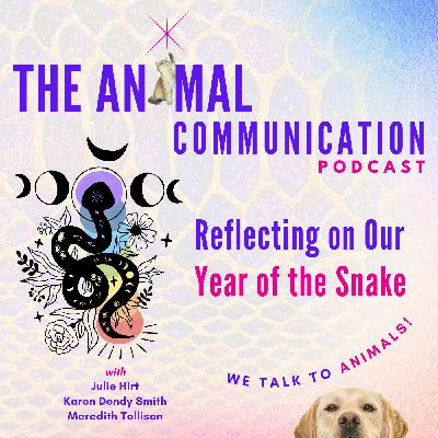 Reflections on Our Year of the Snake Reflections on Our Year of the Snake