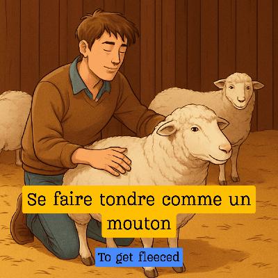 Expression française : "Se faire tondre comme un mouton"