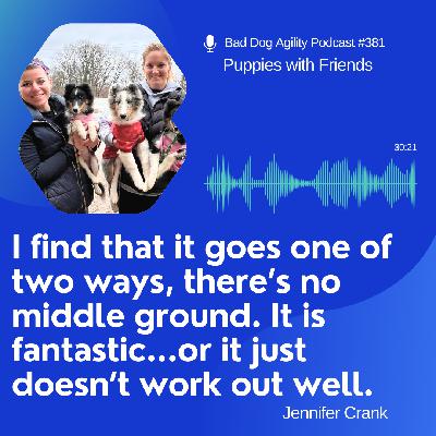 381: Puppies with Friends