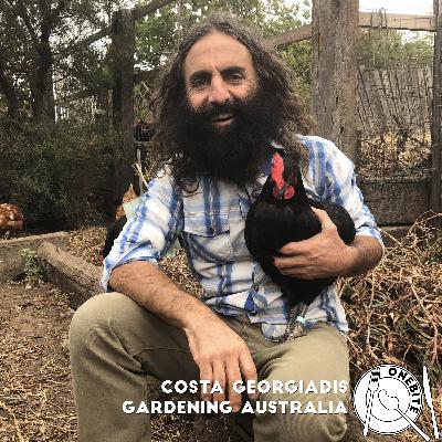 S01 E04: Costa Georgiadis, Gardening Australia