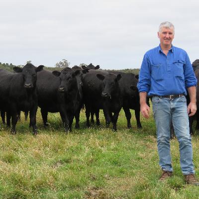 Episode 23: Colin Henke - The Power of Genetic Turnover