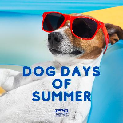 PWC Connections: The Podcast (Episode 88) - Dog Days of Summer (Conserve Energy to Save Money)